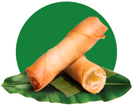 Spring Roll Pastry